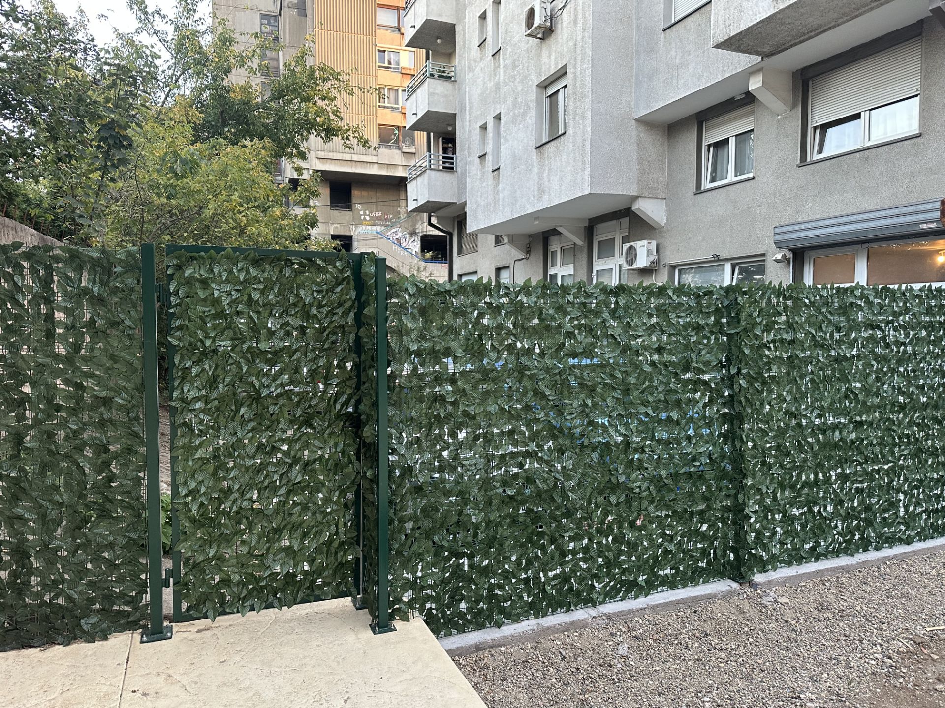 Slika za kategoriju Ukrasno lišće